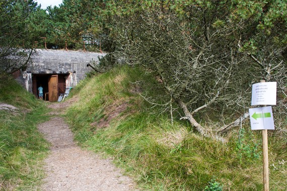 Kunstausstellung im Bunker "Heidemarie"